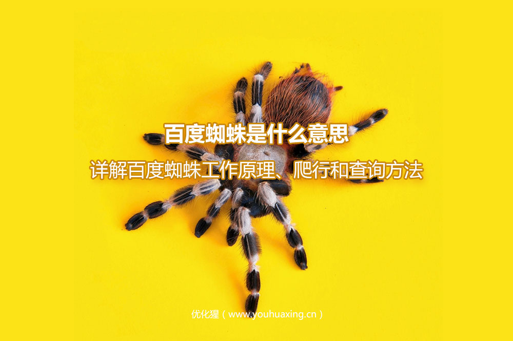 百度蜘蛛