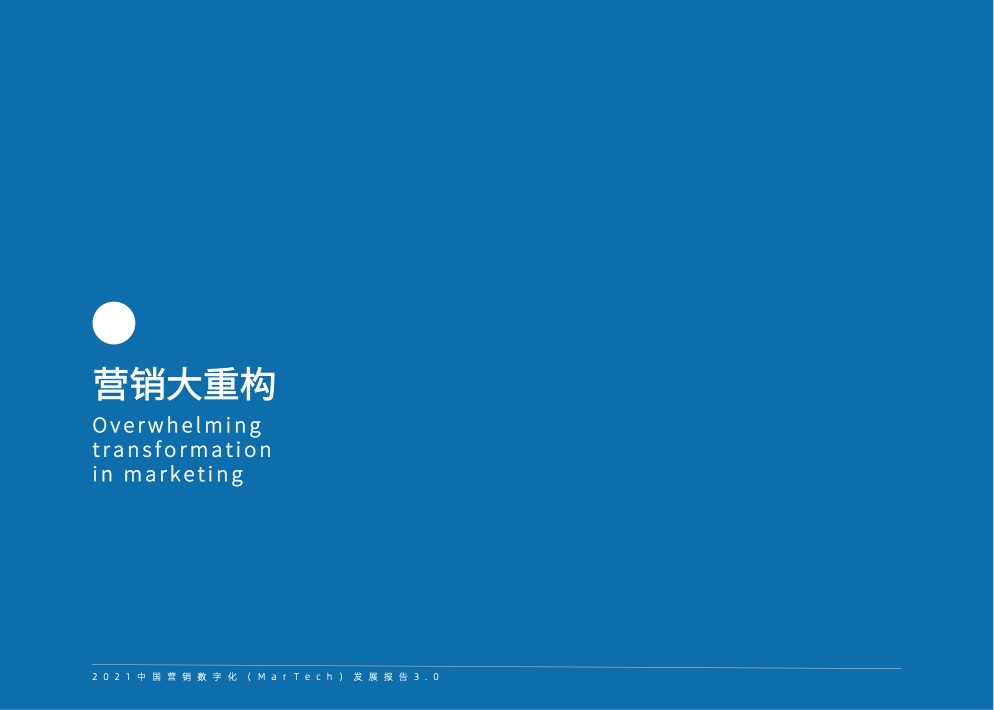 2021中国营销数字化发展报告(图25)