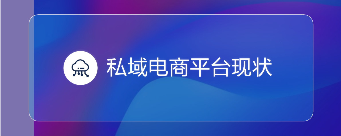 2022私域电商平台趋势报告(图13)