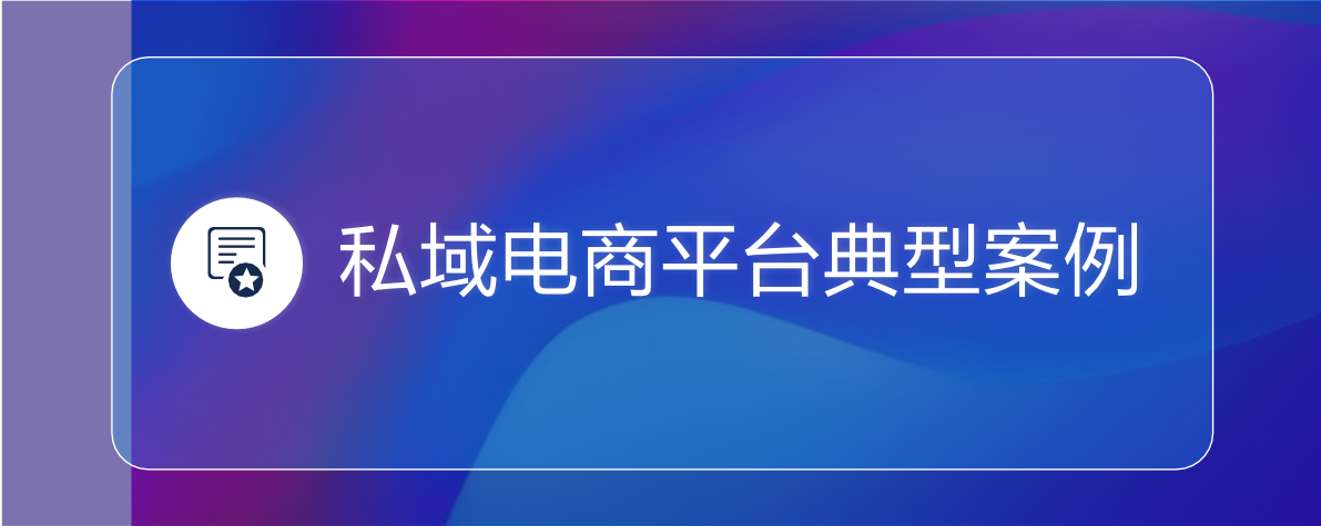 2022私域电商平台趋势报告(图25)