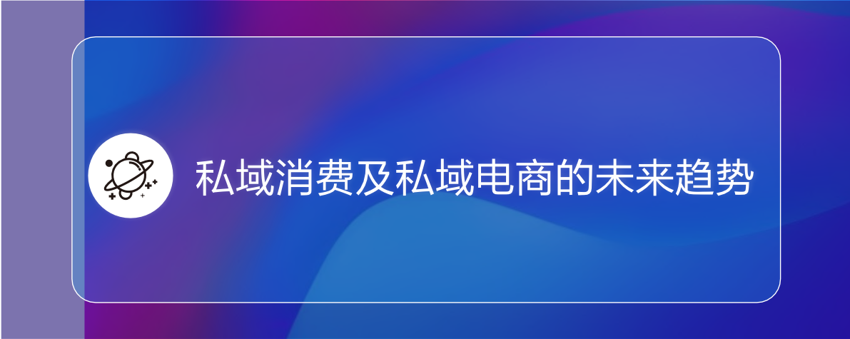 2022私域电商平台趋势报告(图31)