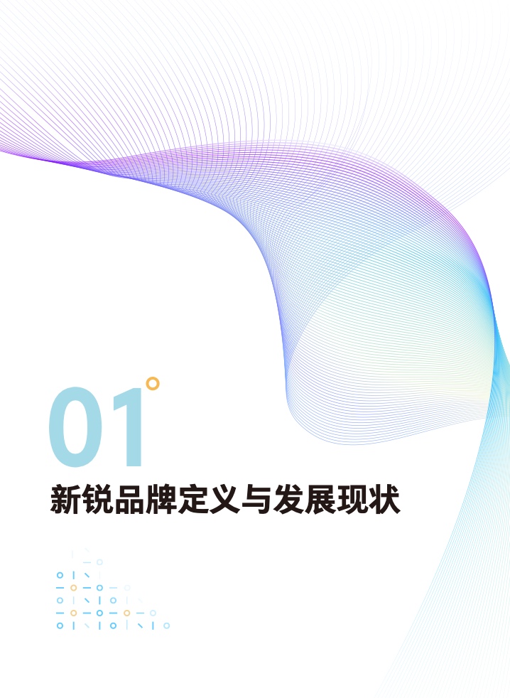 2022新锐品牌增长研究报告(图7)