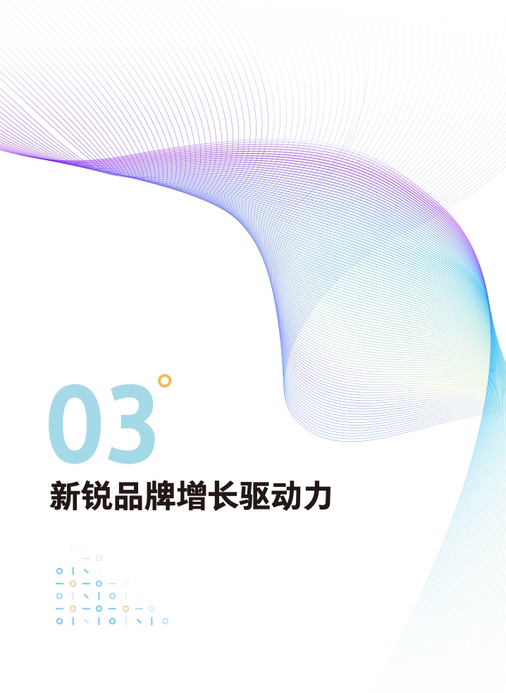 2022新锐品牌增长研究报告(图36)