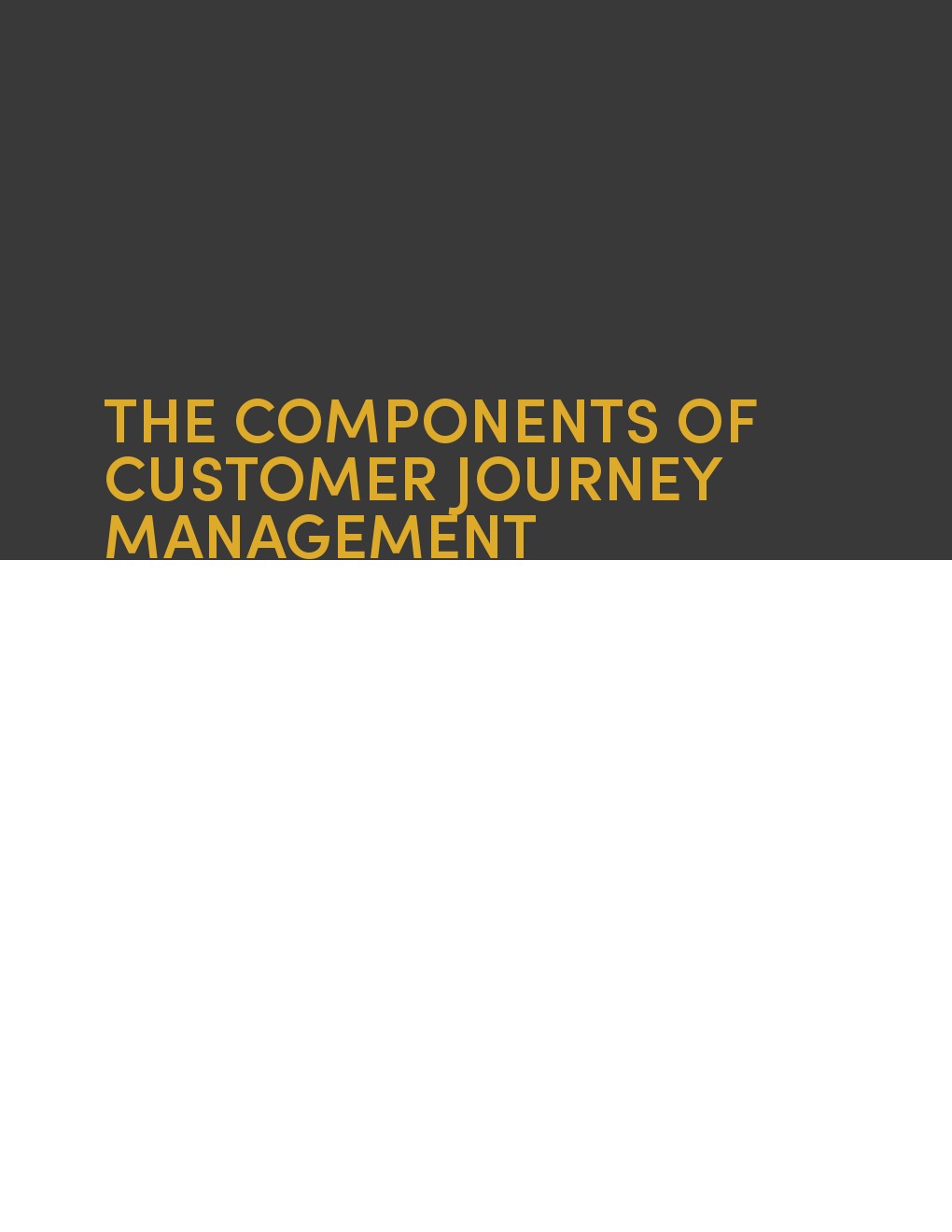 客户旅程管理的演变报告(图12)