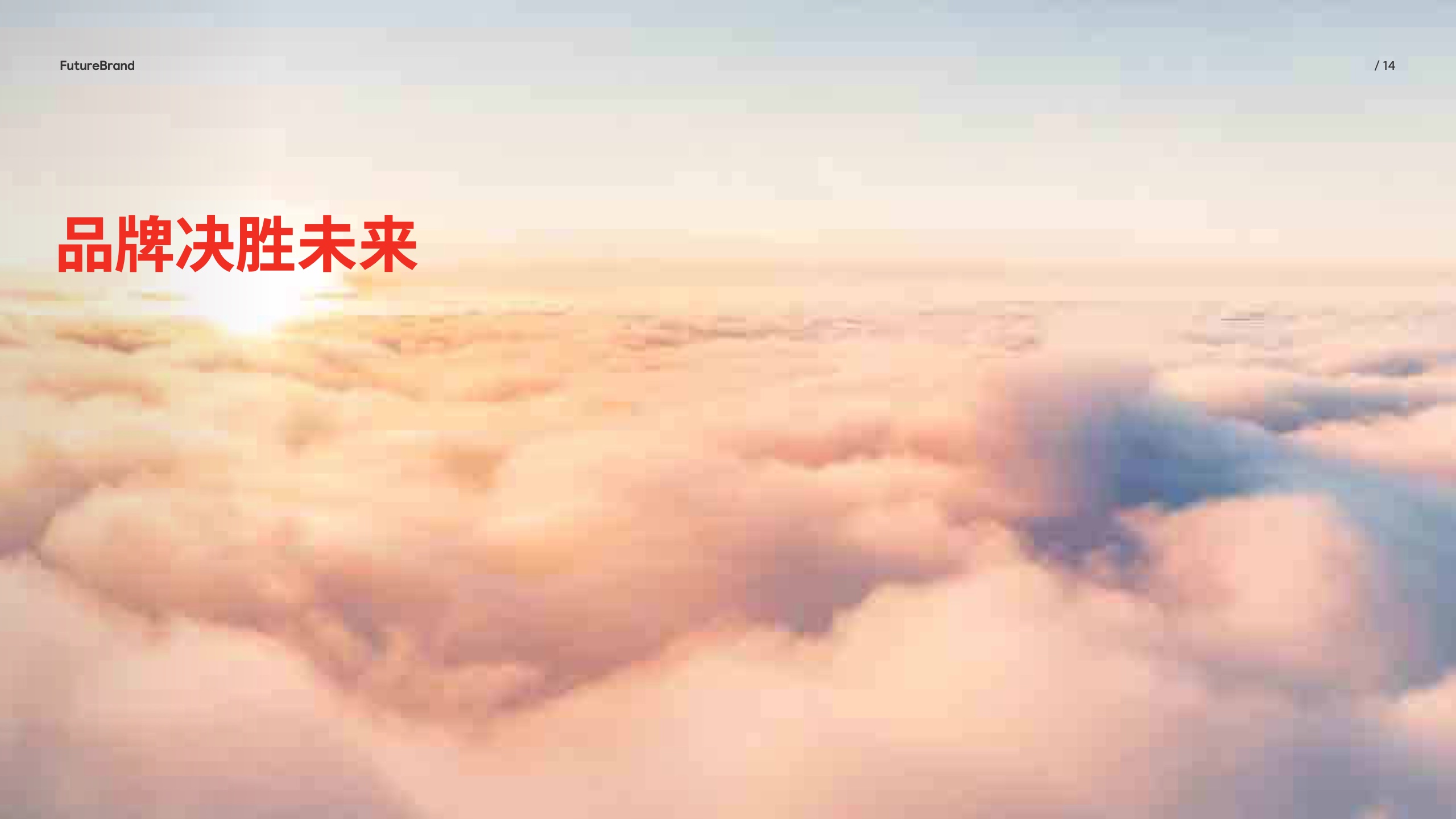 中国品牌的现状和未来(图14)