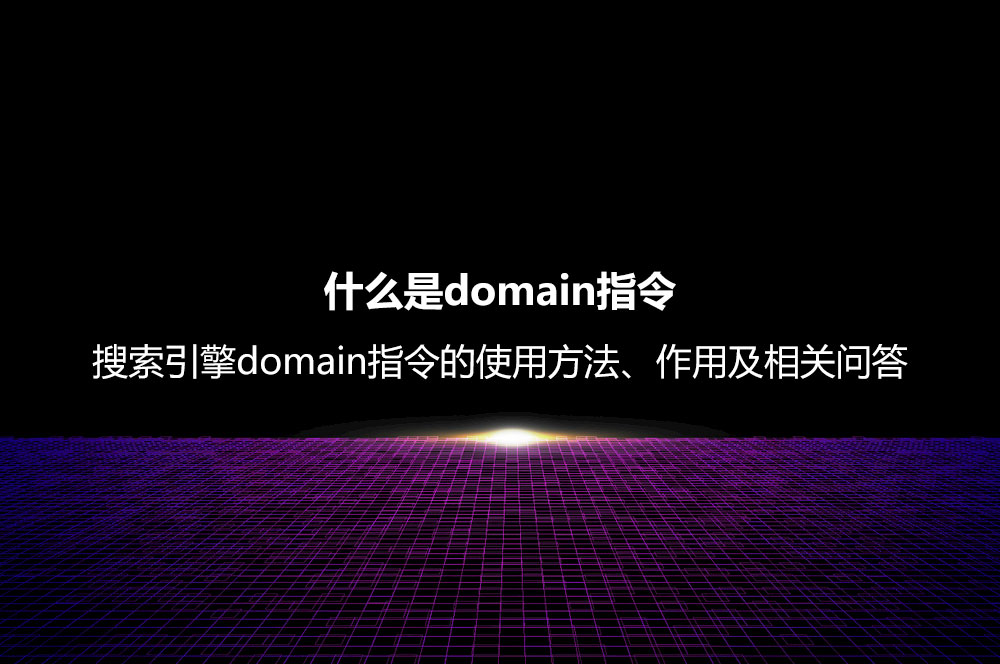 什么是domain指令