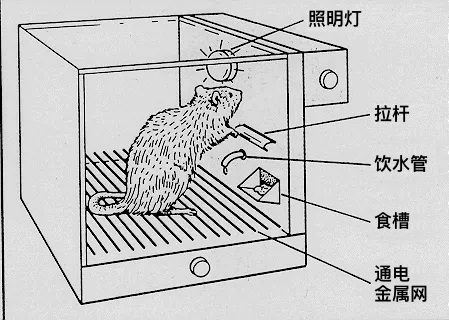 刷抖音停不下来？深度解析无限滚动的Feed流设计