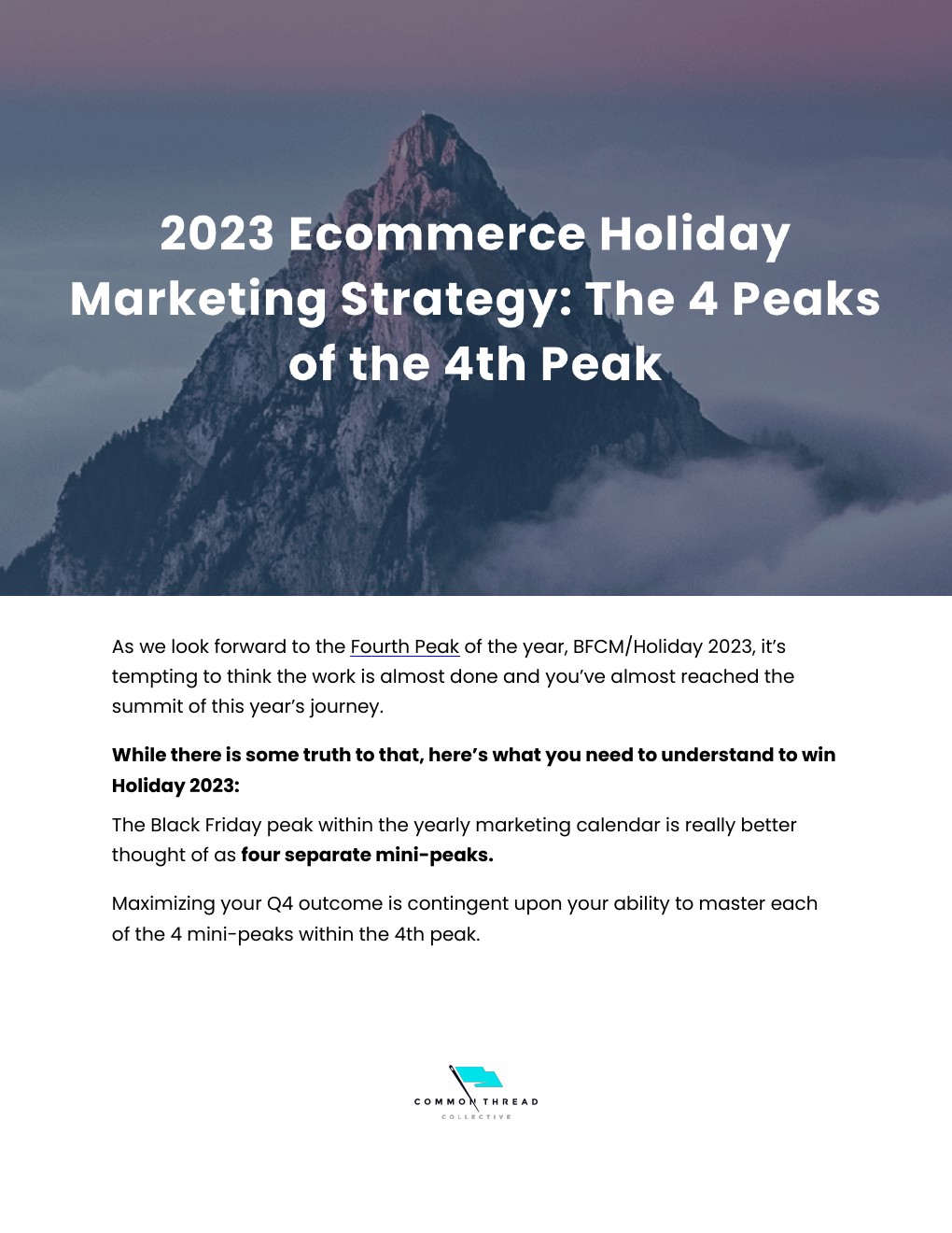 CTC：2023年电子商务假日购物季营销策略报告