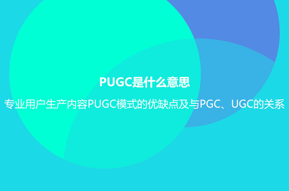 PUGC是什么意思