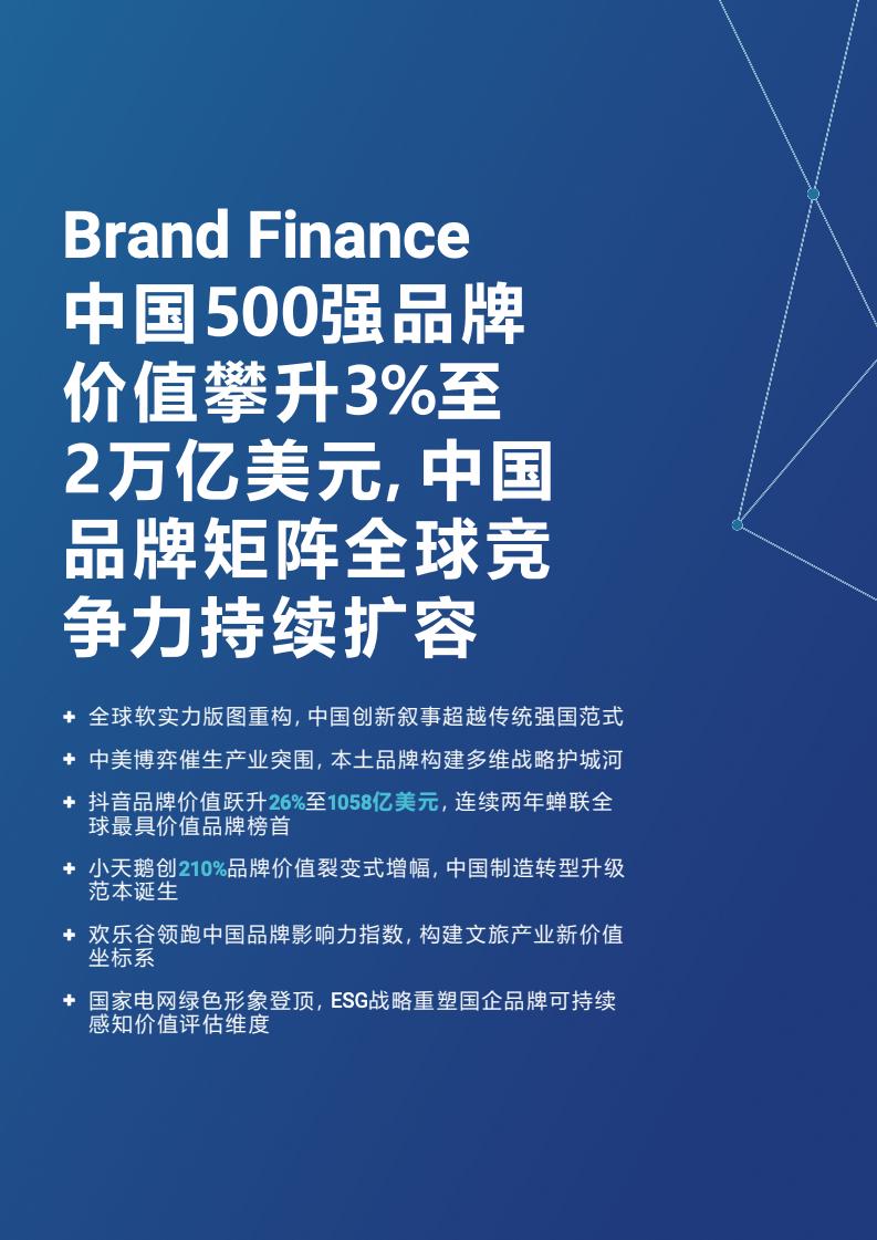 2025年度中国品牌价值500强报告(图2)