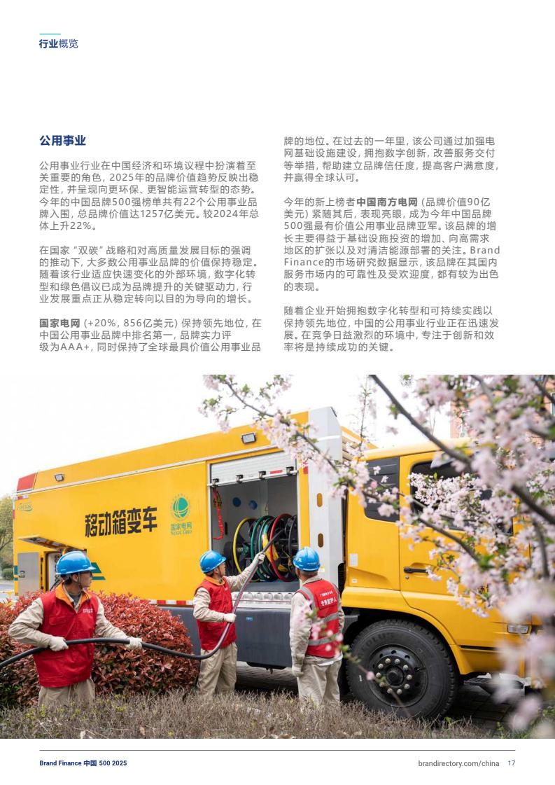 2025年度中国品牌价值500强报告(图17)