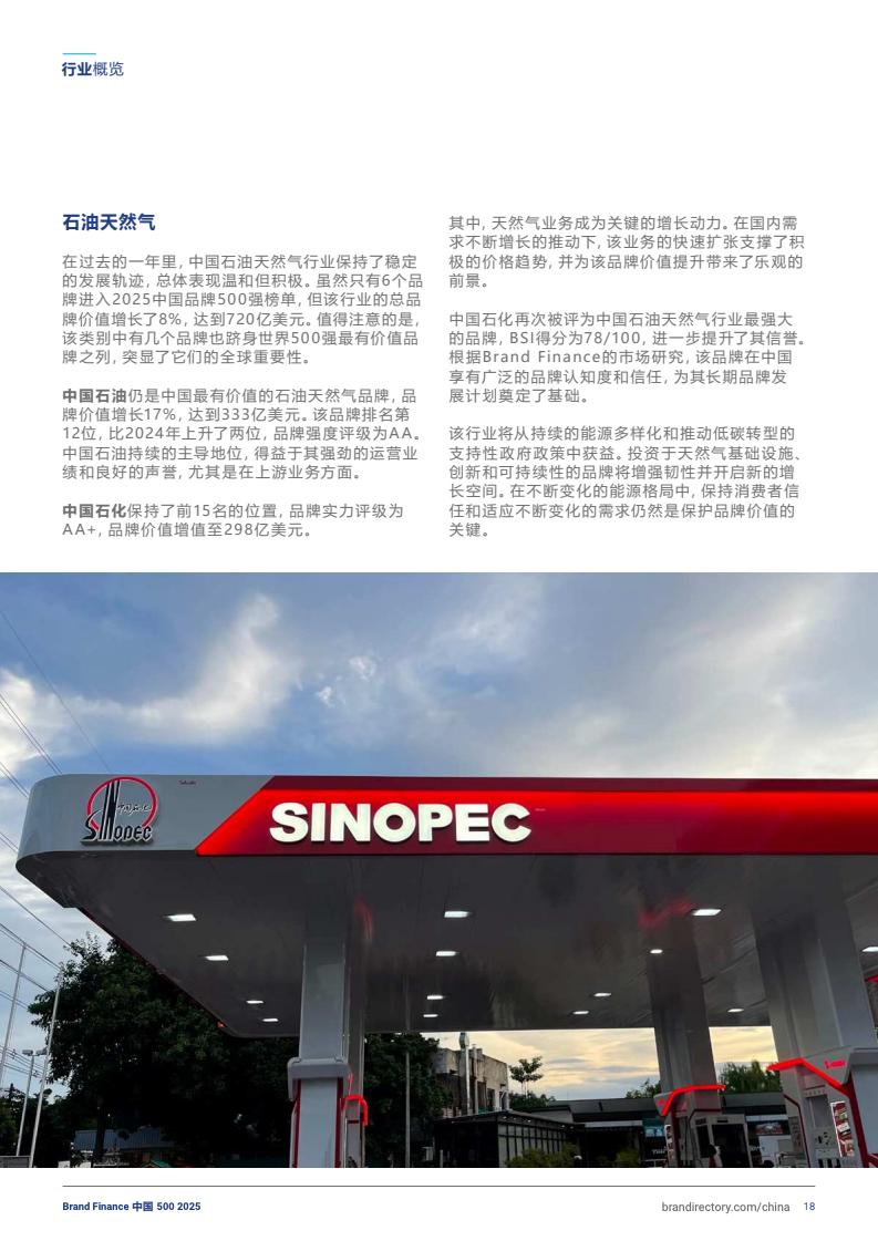 2025年度中国品牌价值500强报告(图18)
