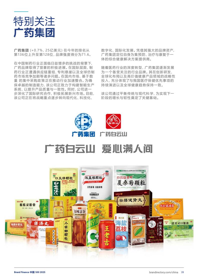 2025年度中国品牌价值500强报告(图28)
