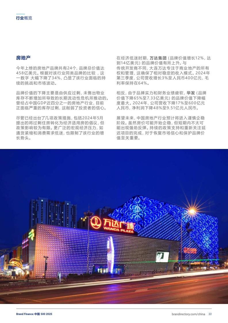 2025年度中国品牌价值500强报告(图22)
