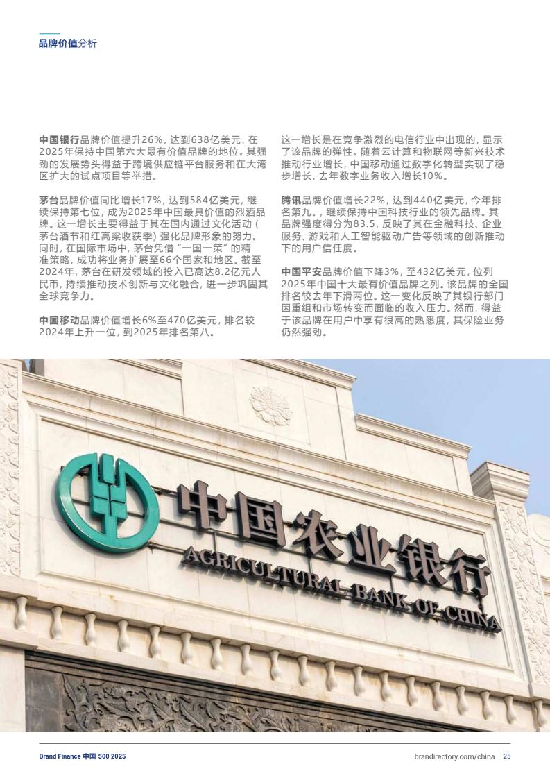2025年度中国品牌价值500强报告(图25)