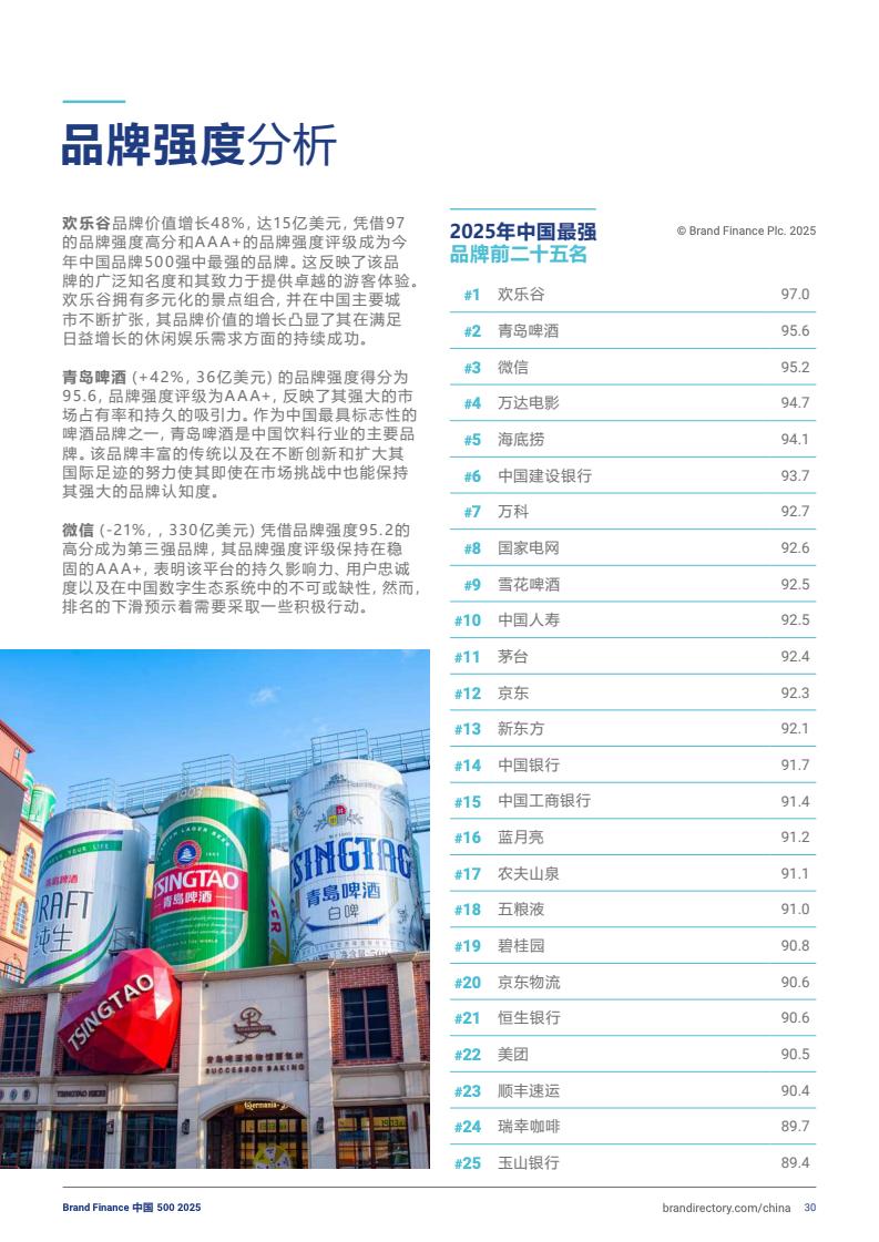 2025年度中国品牌价值500强报告(图30)