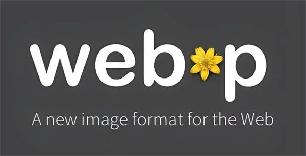 动效邪修保姆级教程！给懒人的零基础动效产出指南