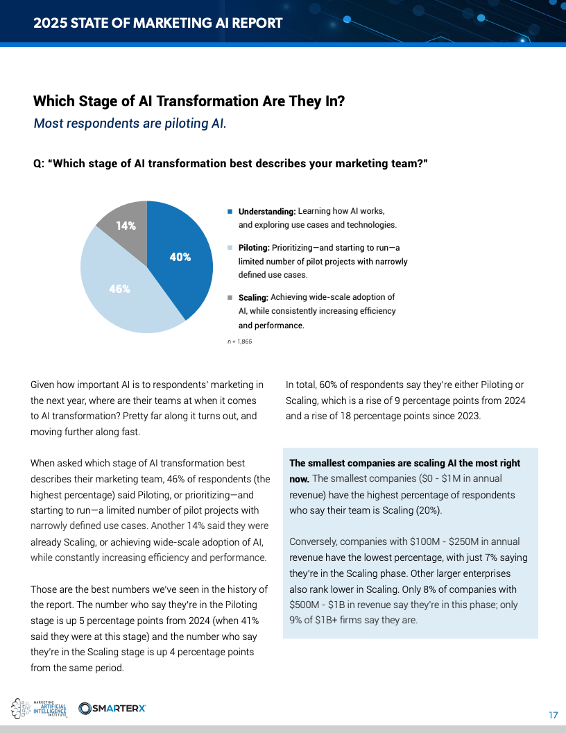 2025营销人工智能现状报告(图17)