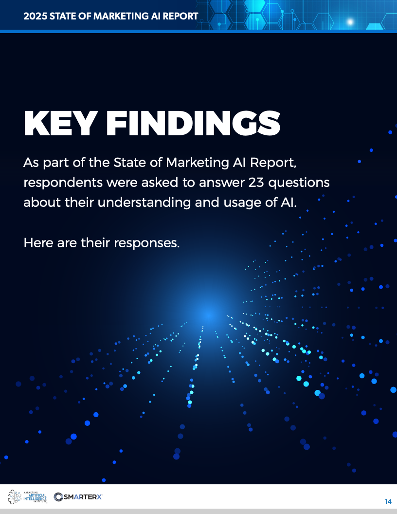 2025营销人工智能现状报告(图14)