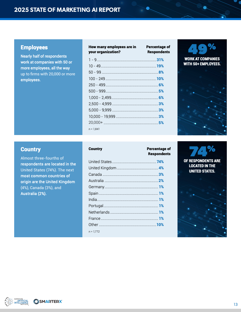 2025营销人工智能现状报告(图13)