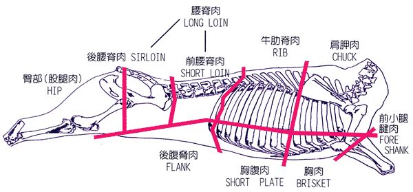 企业网站设计师基本功修炼记(图1)